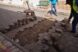 baches (4)
